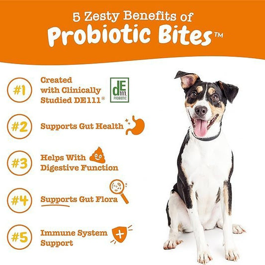 Probiotic Bites for Dogs